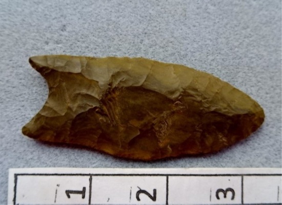 Paleo Point - 3 1/4 in. - Brown Flint