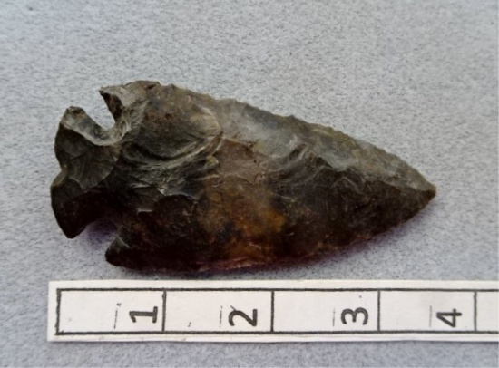 Notched Base Dove - 3 1/2 in - Coshocton Flint