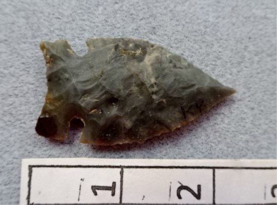 Intrusive Mound Point - 2 1/4 in. - Coshocton
