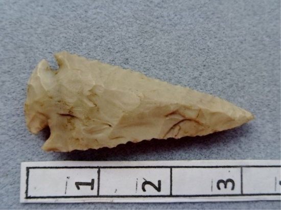 Archaic Bevel - 3 1/4 in. - Flint Ridge  Flint