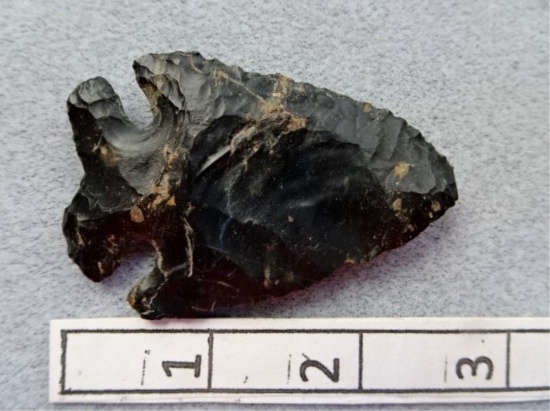 Archaic Bevel - 2 1/2 in. - Zaleski Flint