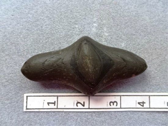 Lizard Effigy - 4 in. - Banded Slate - Hardin Co.