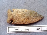 Archaic Concave Base Corner Notch - 3 1/4 in.