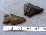 Two Archaic Bevels - 2 1/2 in. - Coshocton Flint