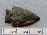 Archaic Corner Notch - 2 1/2 in. - Chert