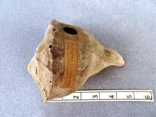 Dipper - 5 in. - Conch Shell - Pendleton Co.