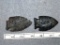 Two Archaic Points - 2 1/2 in. - Coshocton Flint