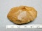 Achulean Hand Axe - Tan Flint - 5 in. - Palestine