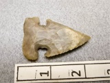 Archaic Expanded Notch Point - 2 1/4 in.