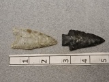 Archaic & Paleo Points - 2 1/2 in. Coshocton