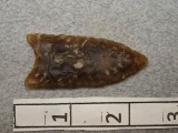 Paleo Point/Plainview - 2 in. - Knife River Flint