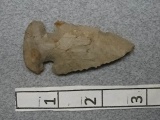 Archaic Expanded Notch - 2 1/2 in. - Delaware