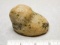 Bust Birdstone - 3 in. - Granite - Mercer Co.