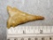 Fracture Base Drill - 2 in. - Tan Flint -