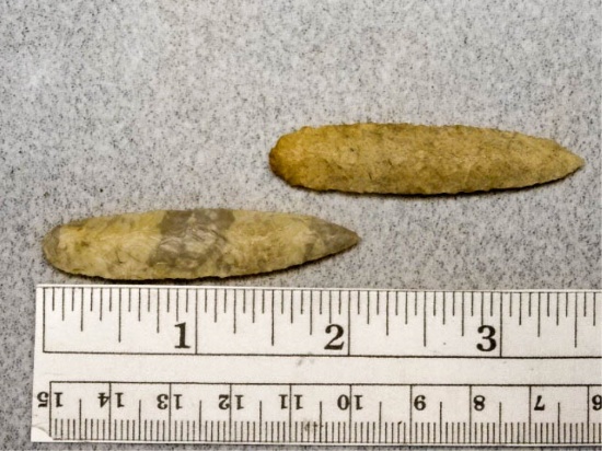 Two Willow Leaf Bladeds- 2 in. - Coshocton