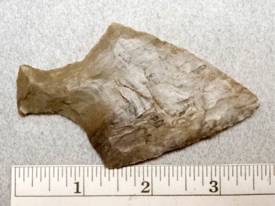 Ashtabula Point - 3 1/4 in. - Coshocton Flint