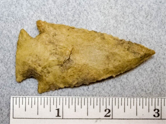 Kirk Corner Notch Point - 2 3/4 in. - Brown Flint