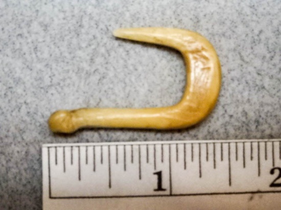 Fish -Hook - 1 1/2 in. - Bone - Meigs Co. Ohio