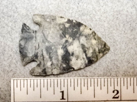 Intrusive Mound Point - 1 3/4 in. - Coshocton
