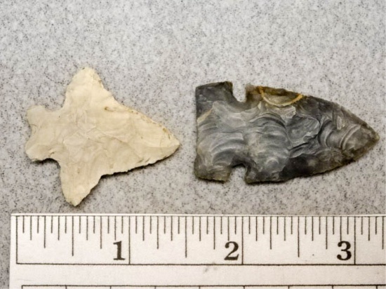 Archaic Side Notch & Bifurcated Point - 1 3/4 &