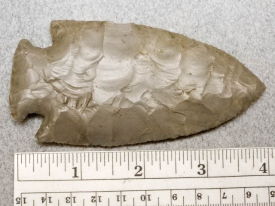 Hopewell Point - 4 in. - Hornstone - Meigs Co.