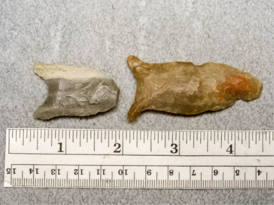 Two Paleo Points - 1 1/2 & 2 1/4 - Quad is Brown