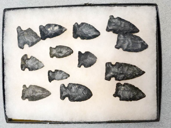 Frame - of 13 Archaic Side Notch Points - Ohio