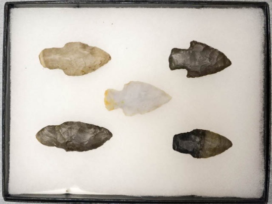 Frame - of 5 Adena Points  Various Materials
