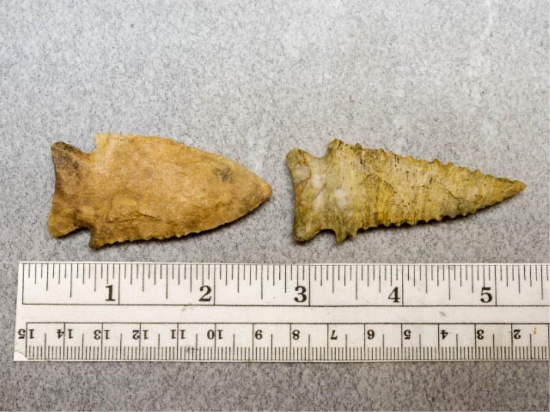 Two Kirk Serrated Points - 2 1/2 in. - Tan