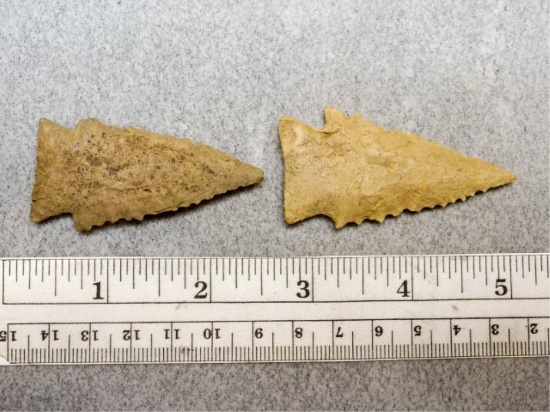 Two Kirk Serrated Points - 2 1/4 in. - Tan Flint