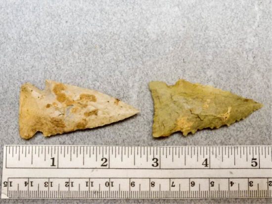 Two Archaic Points - 2 1/4 in. - Tan Flint
