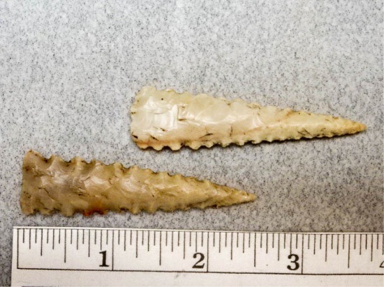 Two Serrated Ft. Ancient Points - 2 1/2 in.