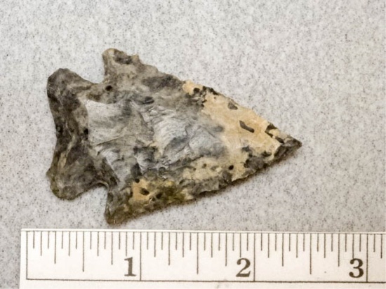 Bifurcated Point - 2 1/4 in. - Upper Merer Flint
