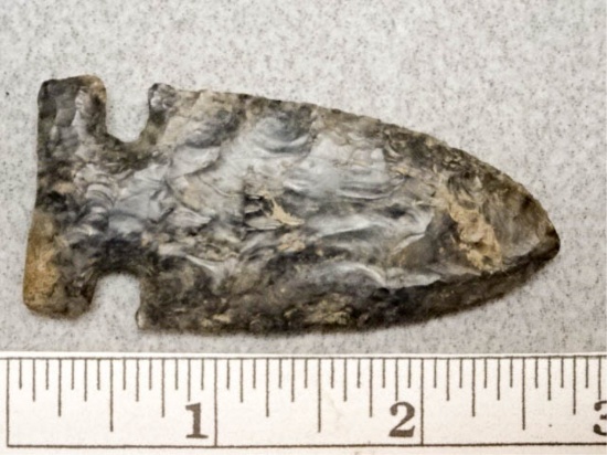 Archaic Side Notch Point - 2 1/2 in. - Coshocton