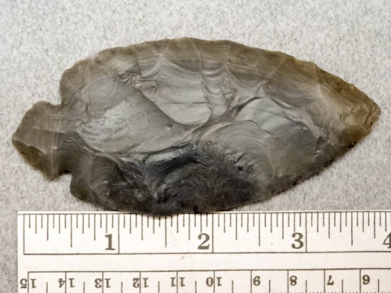 Turkeytail Point - 4 in. - Hornstone Flint