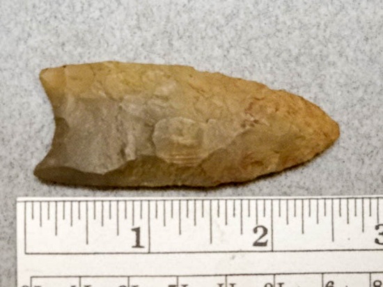 Paleo Point - 2 1/2 in. - Brown Flint - Kentucky