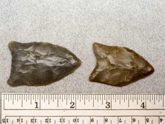 Two Paleo Points - 1 3/4 & 2 in. - Brown &