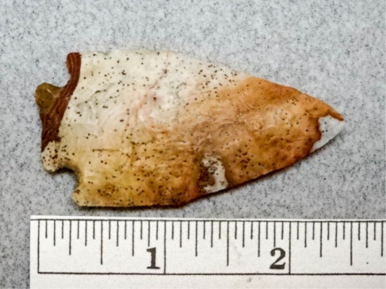 Pentagonal Point - 2 1/2 in. - Flint Ridge Flint