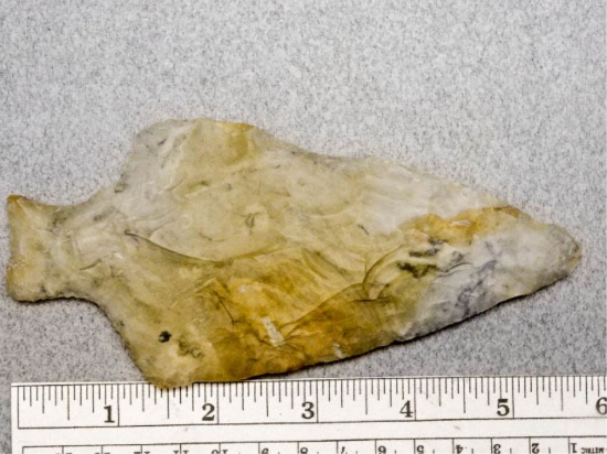 Ashtabula Point - 5 3/4 in. - Coshocton Flint