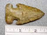 Archaic Expanded Notch - 2 1/2 in. - Brown Flint
