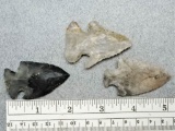 Three Archaic Points - 2 in. - various materials