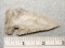 Archaic Bevel - 2 3/4 in. - Coshocton Flint