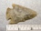 Hopewell Point - 2 1/2 in. - Translucent Flint