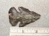 Archaic Bevel - 2 1/4 in. - Coshocton Flint