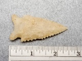 Archaic Serrated Point -  2 1/2 in. - Delaware