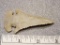 Archaic Expanded Notch Point - 2 3/4 in. - Flint