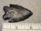 Bifurcated Point - 2 1/4 in. - Zaleski Flint