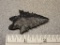 Serrated Bifurcate Point - 2 1/4 in. - Coshocton