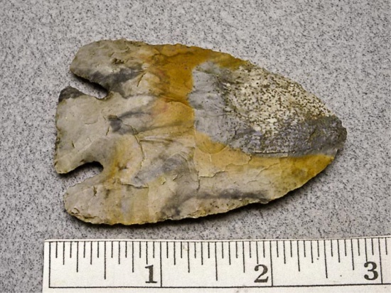 Basal Notch Point - 2 3/4 in. - Coshocton Flint