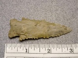 Large Bifurcated Point - 3 in. Coshocton